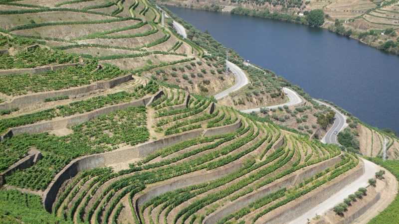 fenadegas_douro