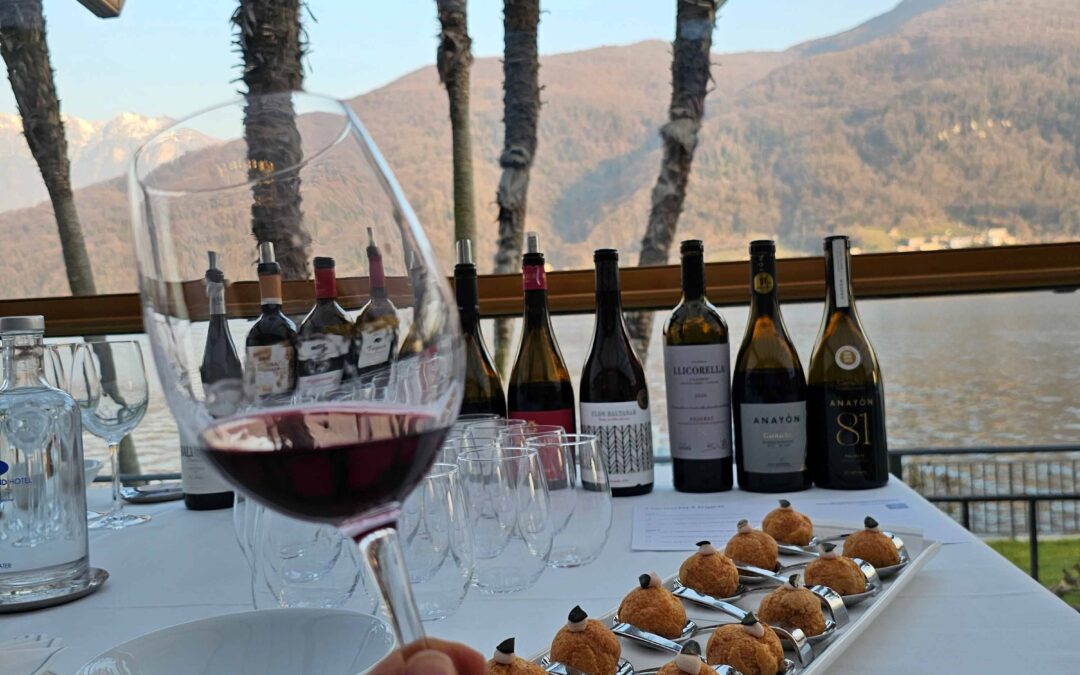Garnacha im Vormarsch: Lugano